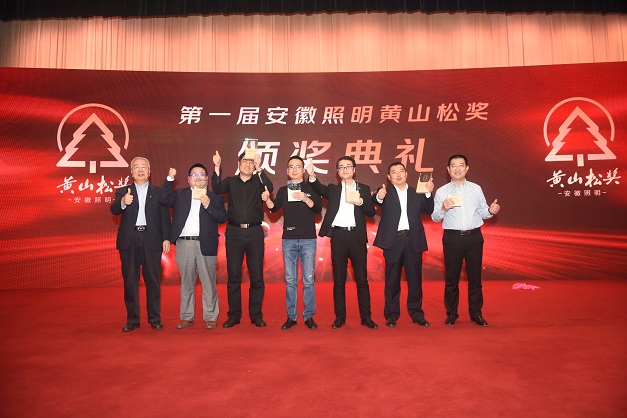 中国照明电器协会理事长陈燕生为“优秀照明企业奖”颁奖 